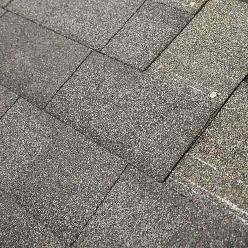 Asphalt roof shingle